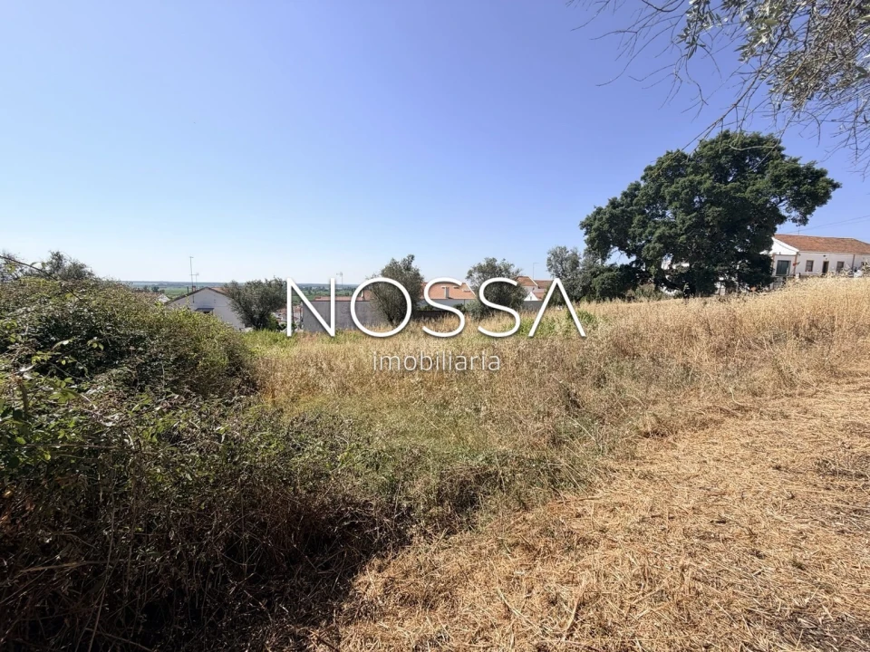 Terreno para Venda em Coruche, Fajarda e Erra Foto 12