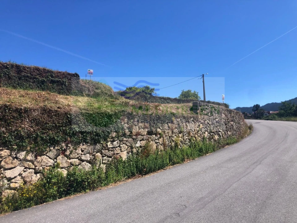 Terreno para Venda em Pessegueiro do Vouga Foto 3