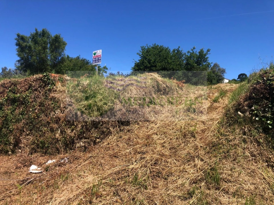 Terreno para Venda em Pessegueiro do Vouga Foto 6