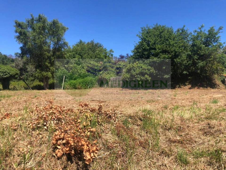 Terreno para Venda em Pessegueiro do Vouga Foto 10