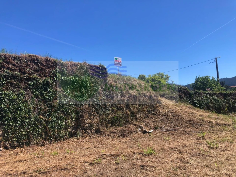 Terreno para Venda em Pessegueiro do Vouga Foto 12