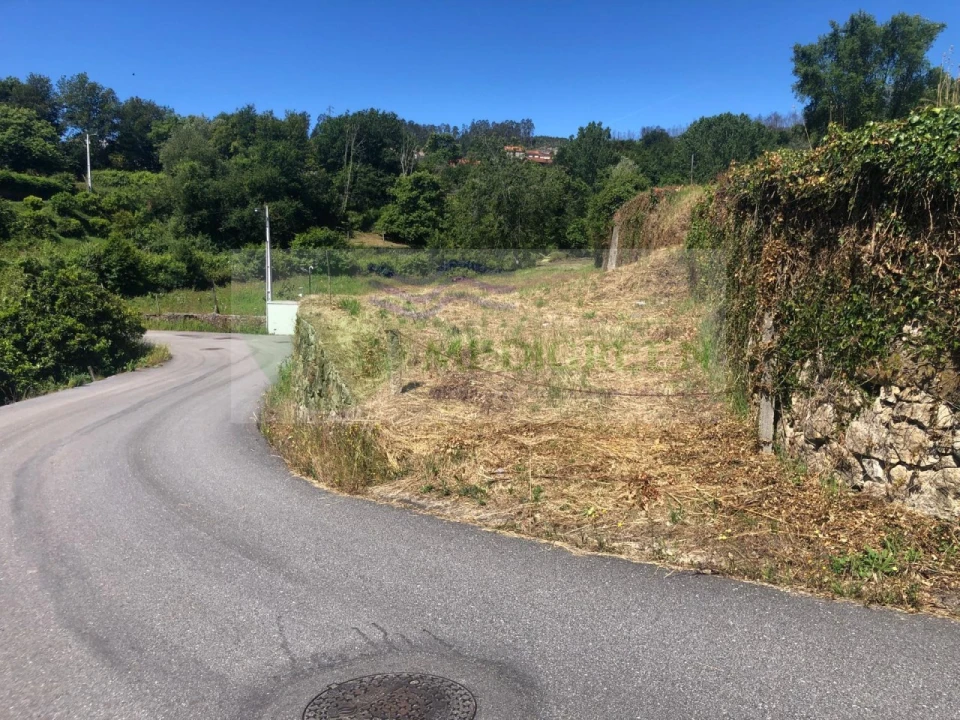 Terreno para Venda em Pessegueiro do Vouga Foto 13