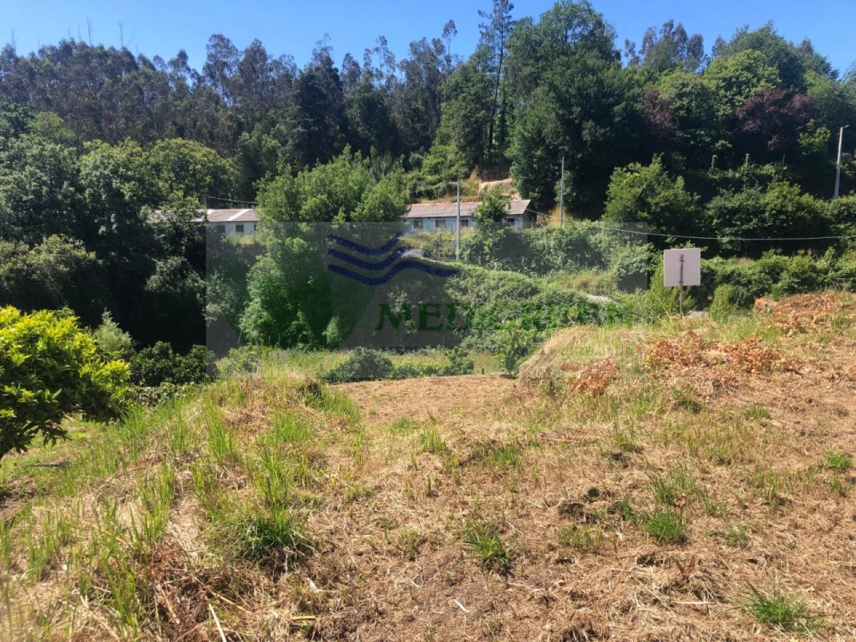 Terreno para Venda em Pessegueiro do Vouga Foto 18