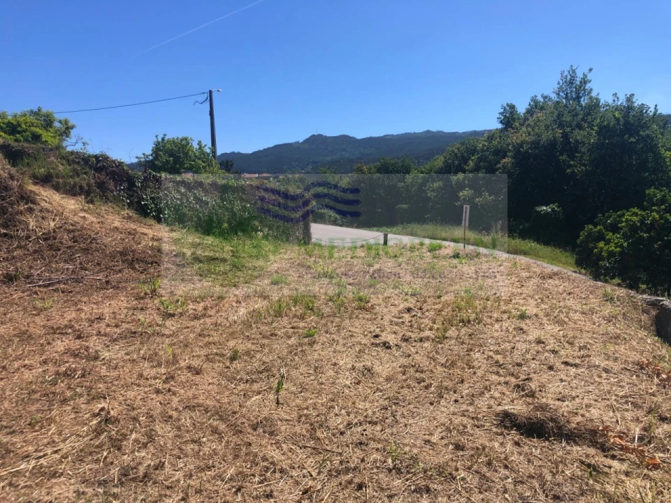 Terreno para Venda em Pessegueiro do Vouga Foto 19