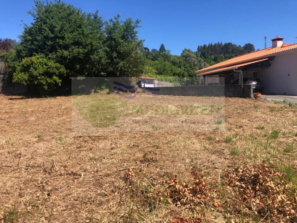 Terreno para Venda em Pessegueiro do Vouga Foto 21