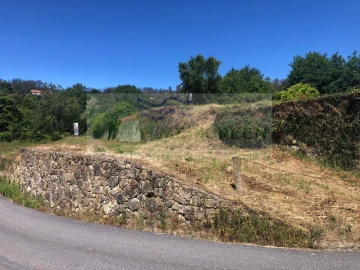 Terreno para Venda em Pessegueiro do Vouga