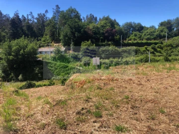 Terreno para Venda em Pessegueiro do Vouga