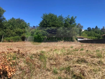 Terreno para Venda em Pessegueiro do Vouga