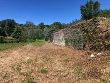 Terreno para Venda em Pessegueiro do Vouga