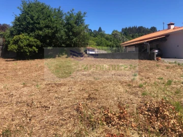 Terreno para Venda em Pessegueiro do Vouga
