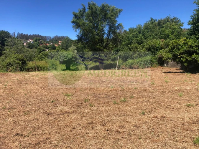 Terreno para Venda em Pessegueiro do Vouga Foto 4