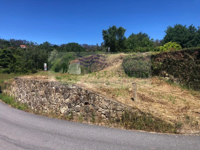 Terreno para Venda em Pessegueiro do Vouga Foto 7