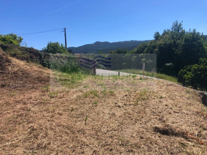 Terreno para Venda em Pessegueiro do Vouga Foto 19