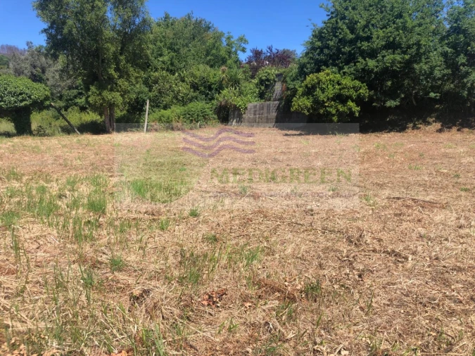 Terreno para Venda em Pessegueiro do Vouga Foto 20