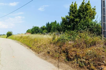 Terreno para Venda em Pereira