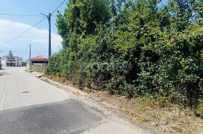 Terreno para Venda em Pereira