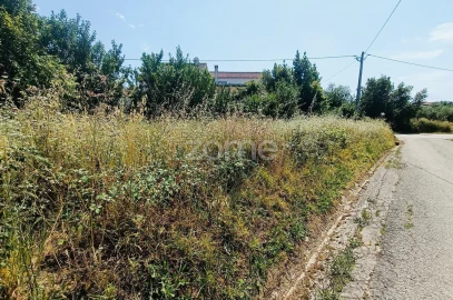 Terreno para Venda em Pereira