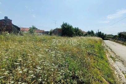 Terreno para Venda em Pereira