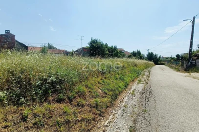 Terreno para Venda em Pereira