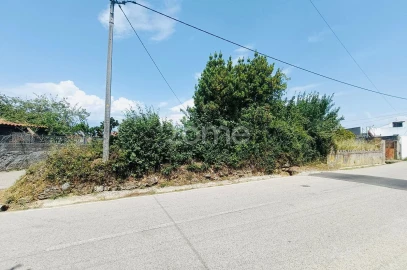 Terreno para Venda em Pereira