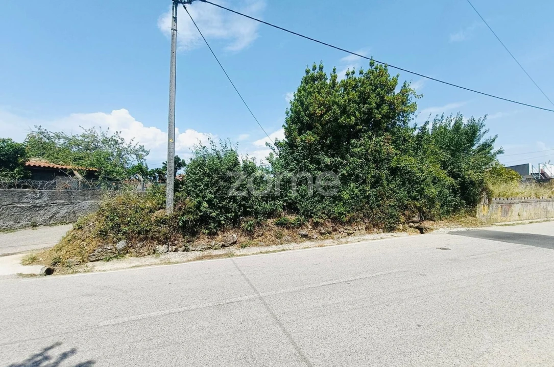 Terreno para Venda em Pereira Foto 6