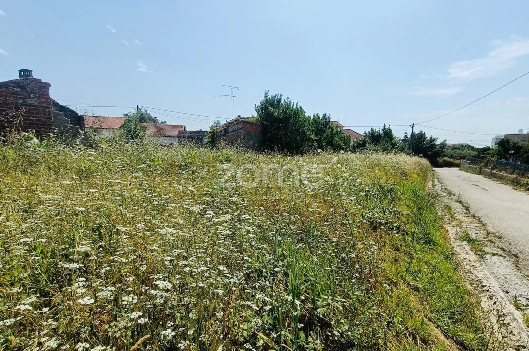 Terreno para Venda em Pereira Foto 1