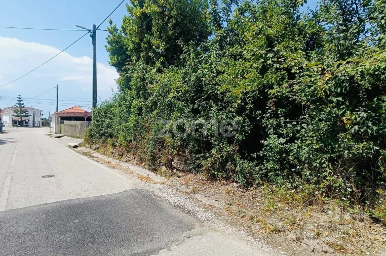 Terreno para Venda em Pereira Foto 4