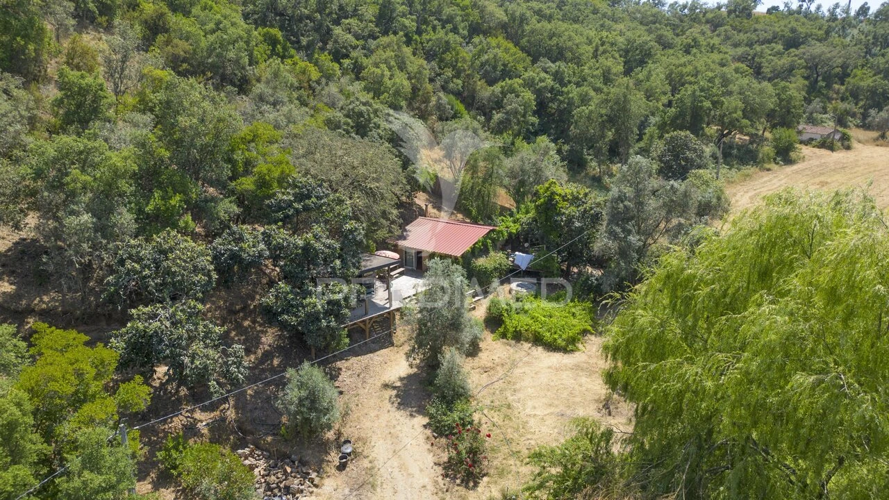 Quinta T0 para Venda em São Martinho das Amoreiras Foto 5