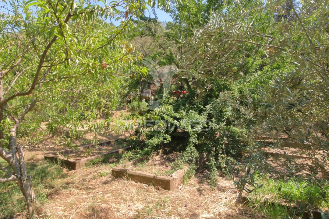 Quinta T0 para Venda em São Martinho das Amoreiras Foto 21