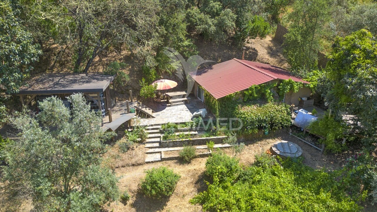Quinta T0 para Venda em São Martinho das Amoreiras Foto 3