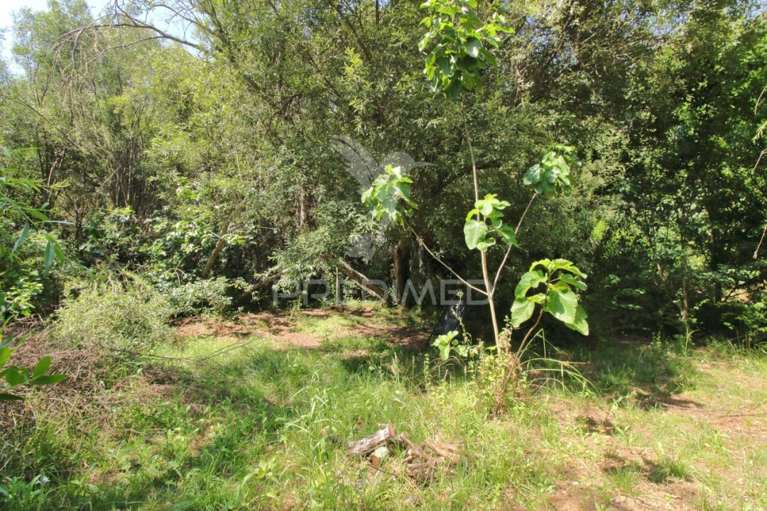 Quinta T0 para Venda em São Martinho das Amoreiras Foto 26