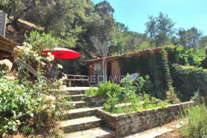 Quinta T0 para Venda em São Martinho das Amoreiras