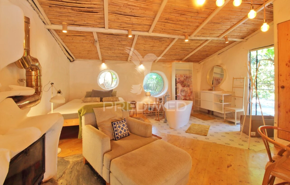 Quinta T0 para Venda em São Martinho das Amoreiras Foto 29