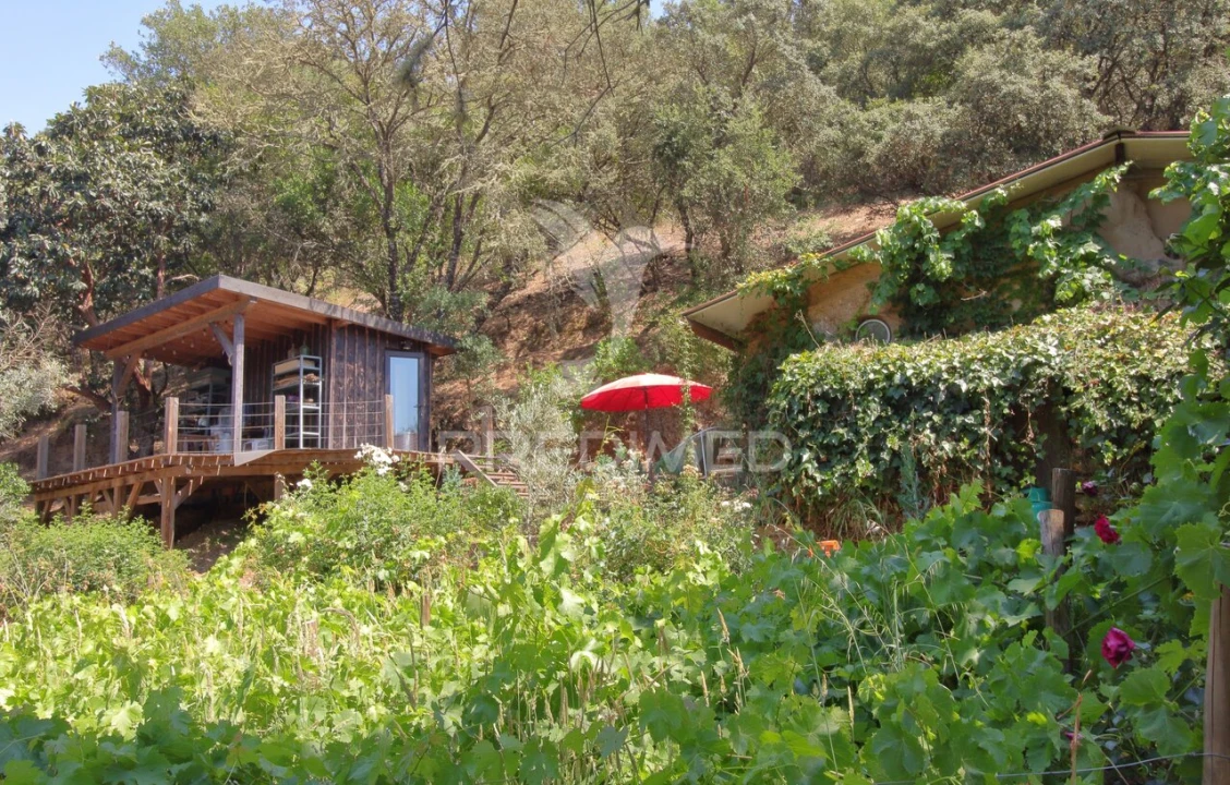 Quinta T0 para Venda em São Martinho das Amoreiras Foto 9
