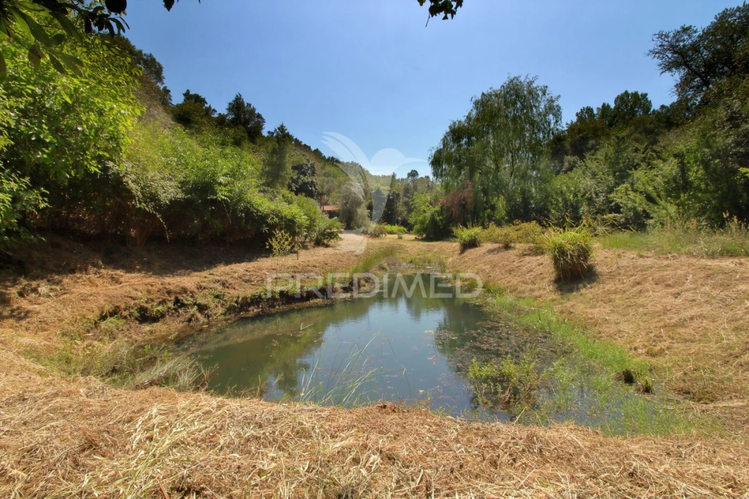 Quinta T0 para Venda em São Martinho das Amoreiras Foto 19