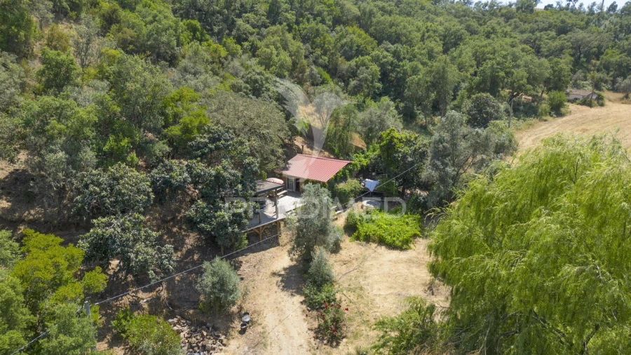 Quinta T0 para Venda em São Martinho das Amoreiras Foto 5