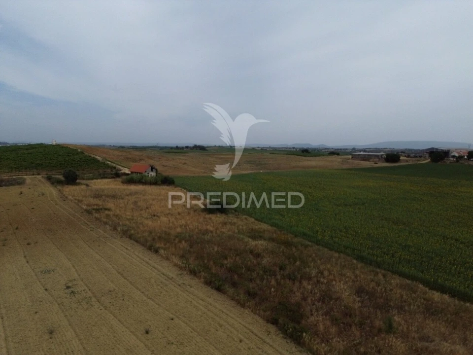 Moradia T2 para Venda em São Vicente do Paul e Vale de Figueira Foto 5