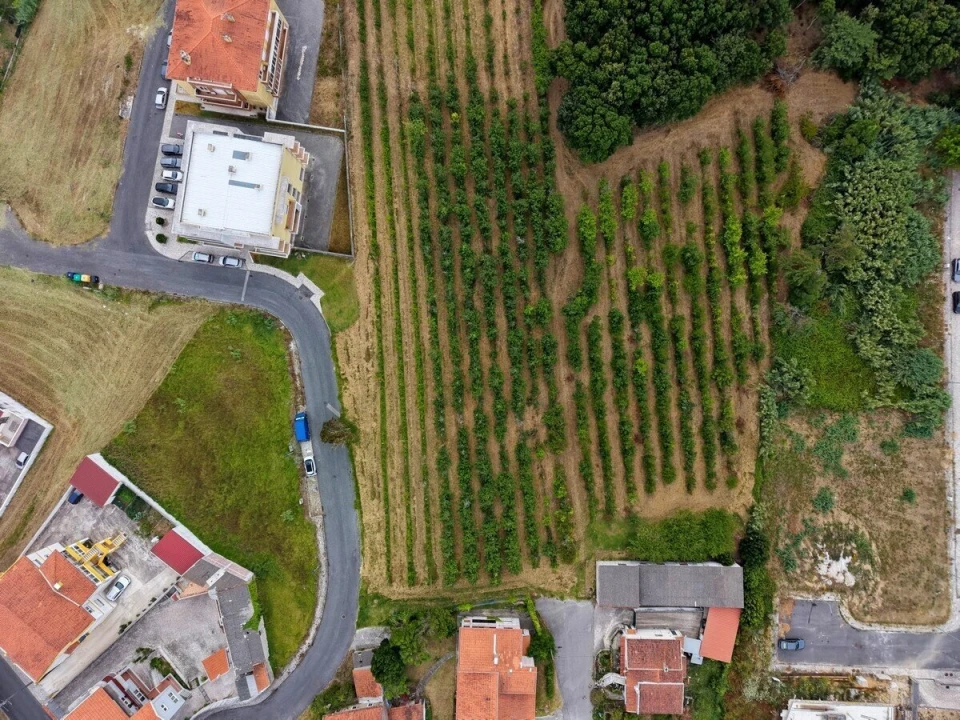 Terreno para Venda em Nossa Senhora do Pópulo, Coto e São Gregório Foto 3