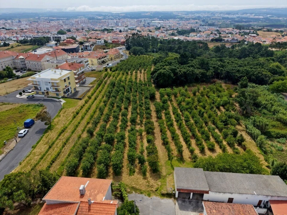 Terreno para Venda em Nossa Senhora do Pópulo, Coto e São Gregório Foto 6