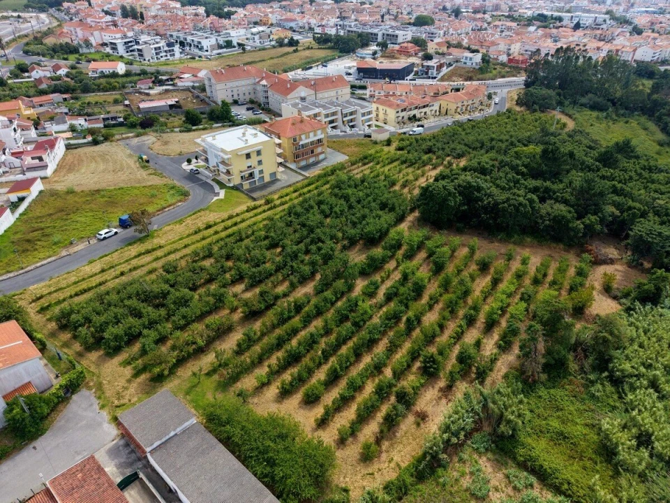 Terreno para Venda em Nossa Senhora do Pópulo, Coto e São Gregório Foto 7
