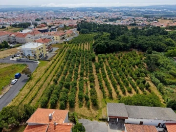 Terreno para Venda em Nossa Senhora do Pópulo, Coto e São Gregório