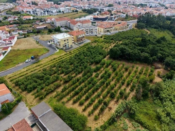 Terreno para Venda em Nossa Senhora do Pópulo, Coto e São Gregório