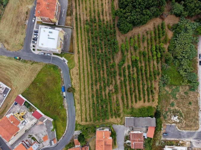 Terreno para Venda em Nossa Senhora do Pópulo, Coto e São Gregório Foto 3