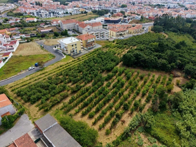 Terreno para Venda em Nossa Senhora do Pópulo, Coto e São Gregório Foto 7
