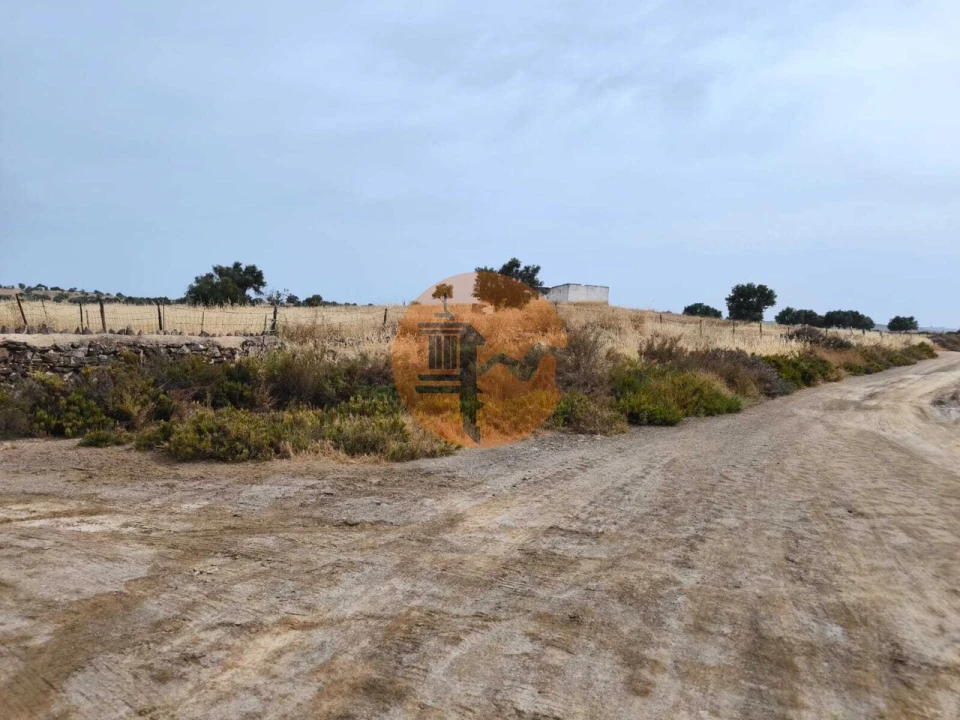 Terreno para Venda em Castro Marim Foto 10