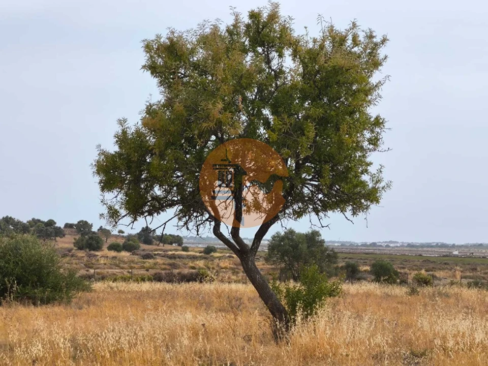 Terreno para Venda em Castro Marim Foto 8