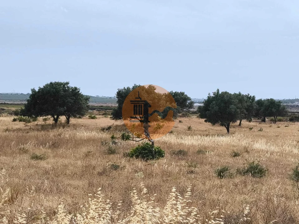 Terreno para Venda em Castro Marim Foto 19