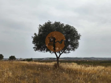 Terreno para Venda em Castro Marim