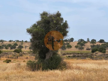Terreno para Venda em Castro Marim