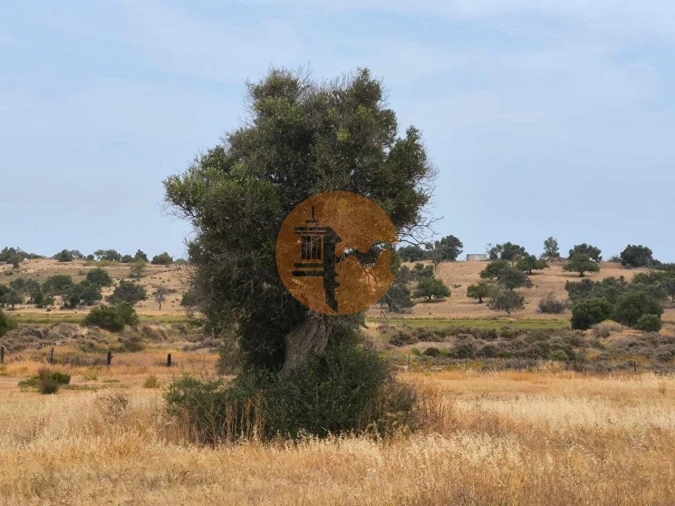 Terreno para Venda em Castro Marim Foto 22